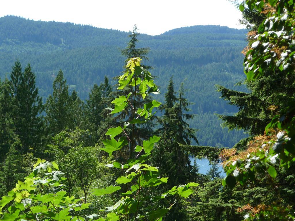 Davis Brook Retreat Bed & Breakfast Sechelt Ngoại thất bức ảnh