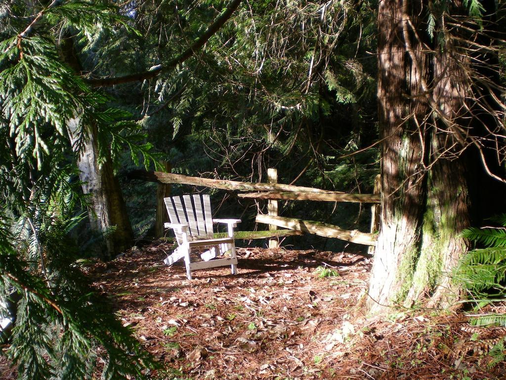 Davis Brook Retreat Bed & Breakfast Sechelt Ngoại thất bức ảnh