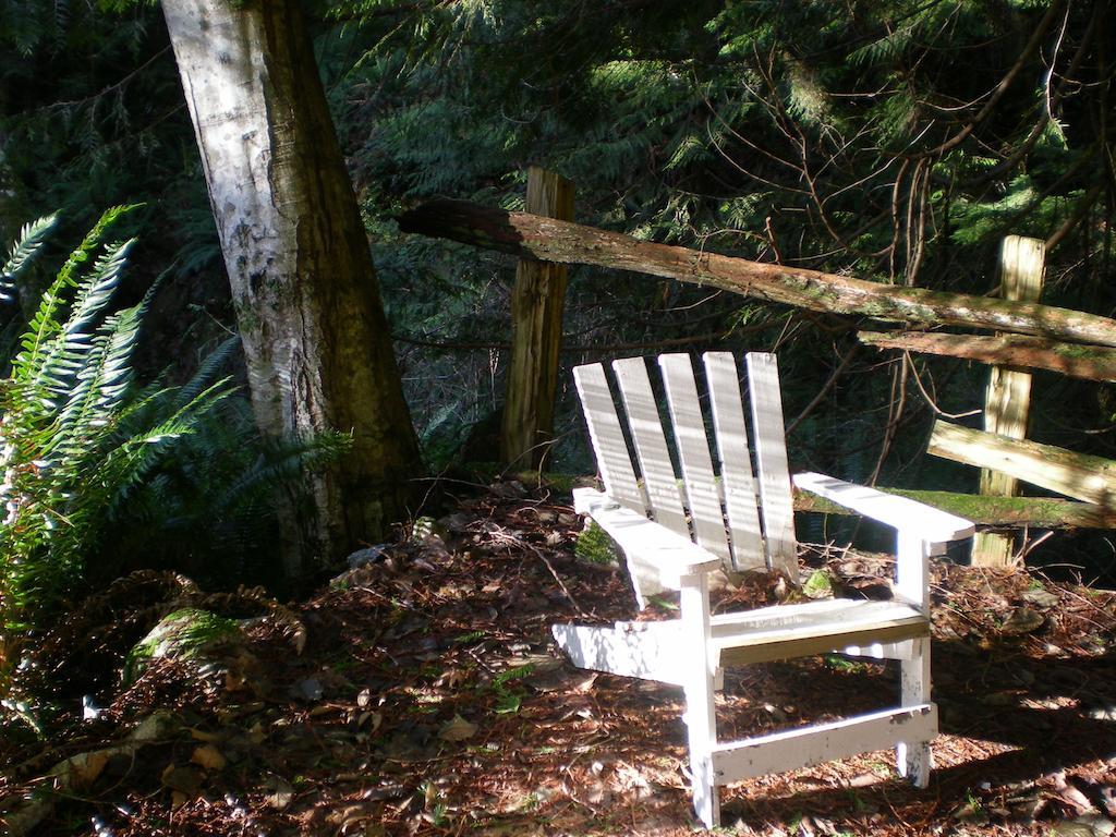 Davis Brook Retreat Bed & Breakfast Sechelt Ngoại thất bức ảnh