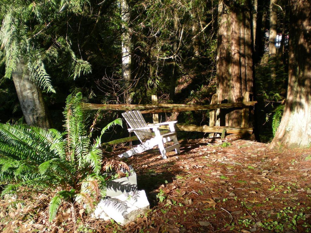 Davis Brook Retreat Bed & Breakfast Sechelt Ngoại thất bức ảnh