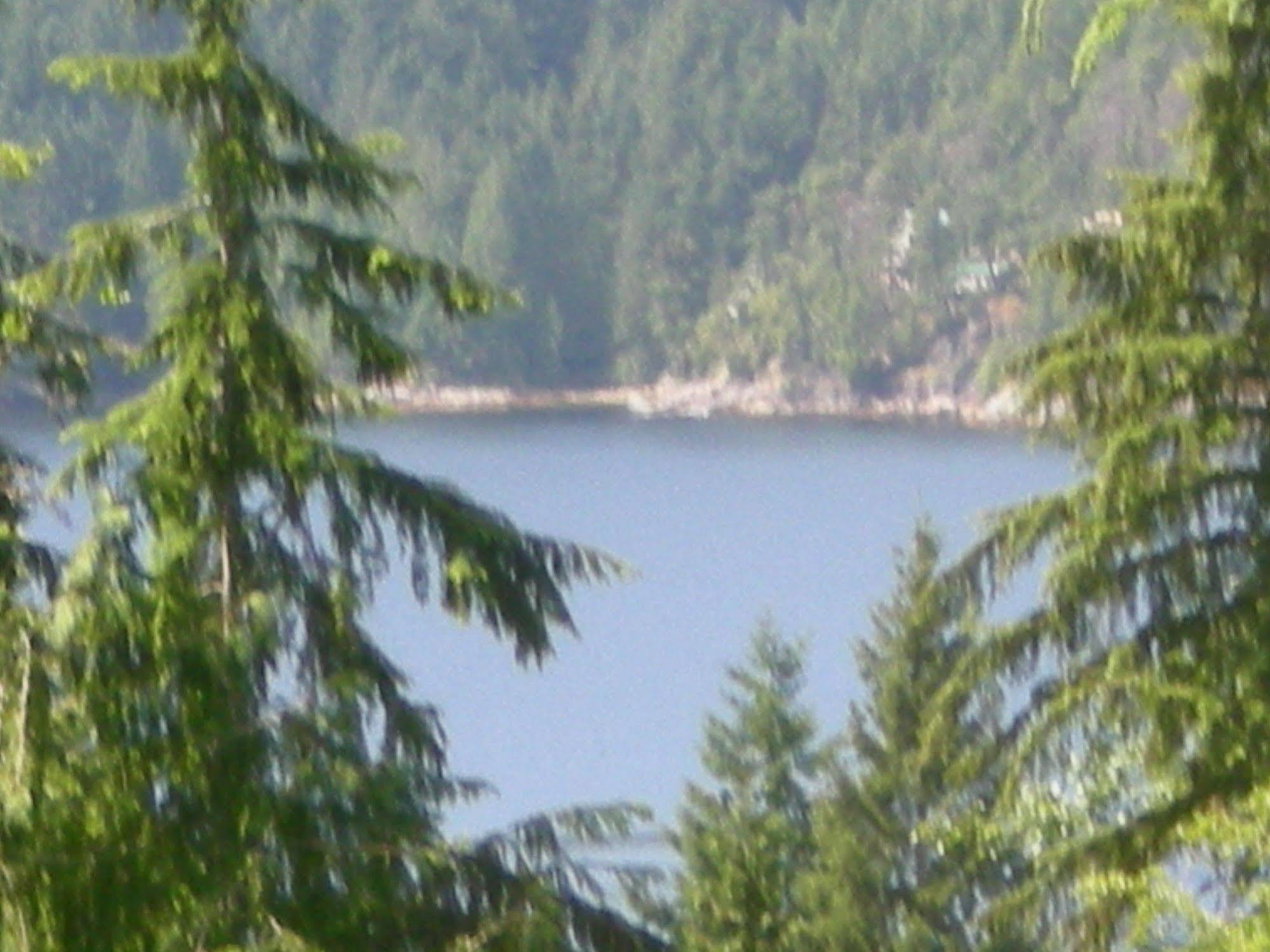 Davis Brook Retreat Bed & Breakfast Sechelt Ngoại thất bức ảnh