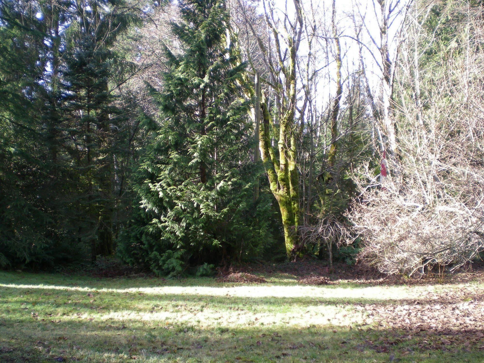 Davis Brook Retreat Bed & Breakfast Sechelt Ngoại thất bức ảnh